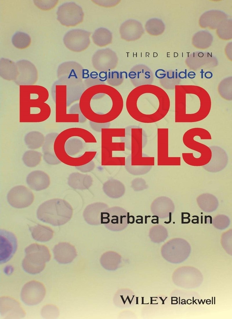 A Beginner's Guide to Blood Cells Model.Title