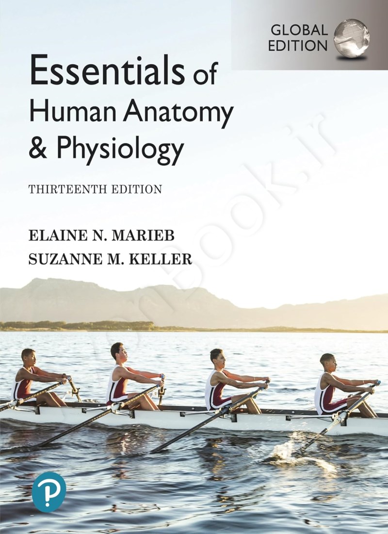 Essentials of Human Anatomy & Physiology main 1 1