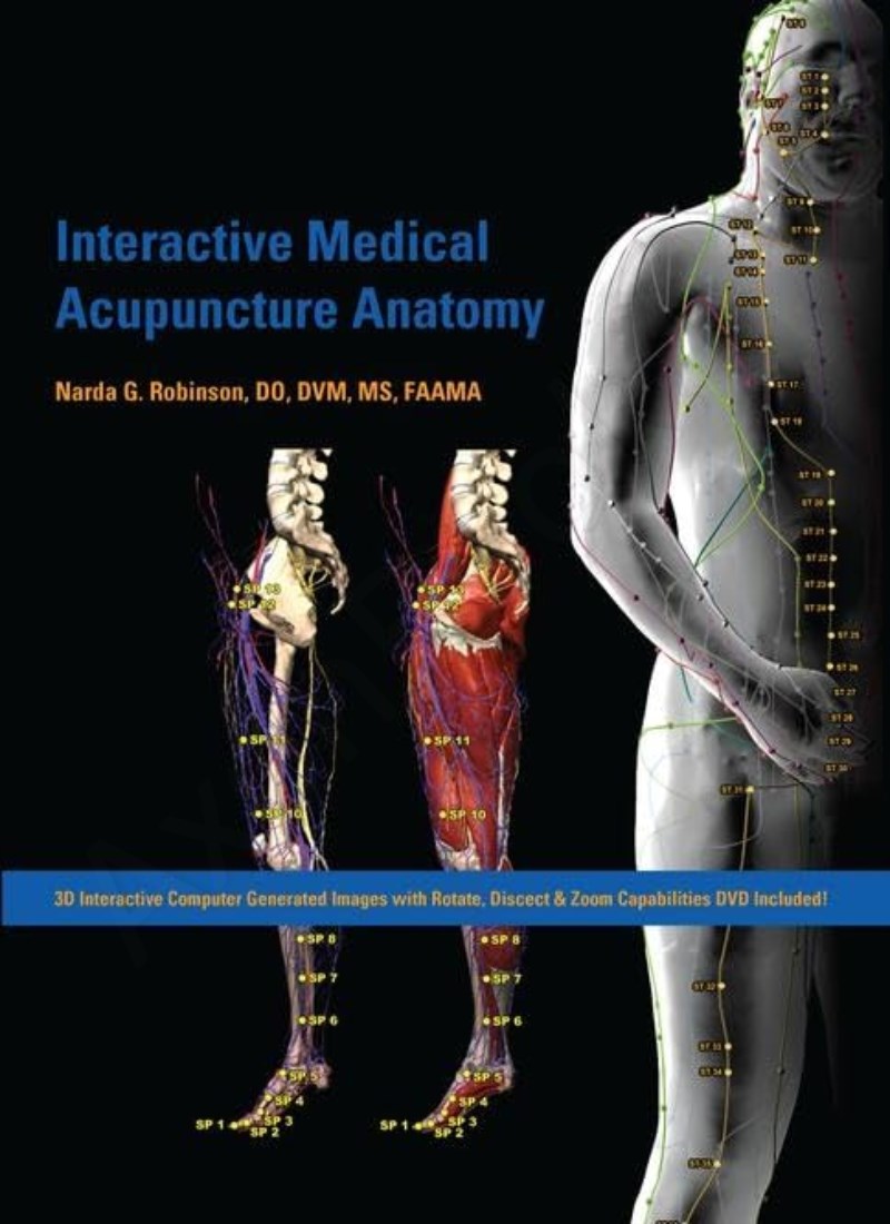 Interactive Medical Acupuncture Anatomy main 1 1