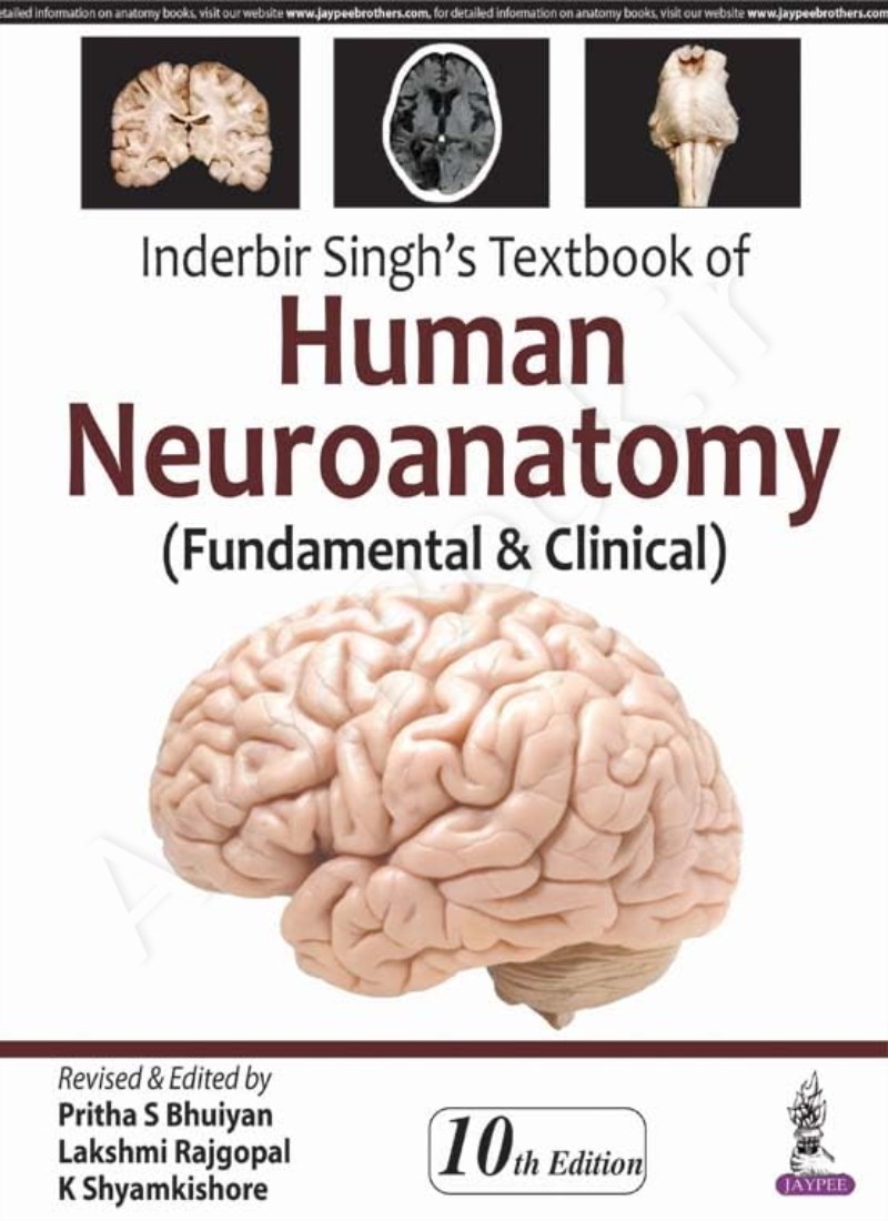 Inderbir Singh's Textbook of Human Neuroanatomy: Fundamental and Clinical main 1 1