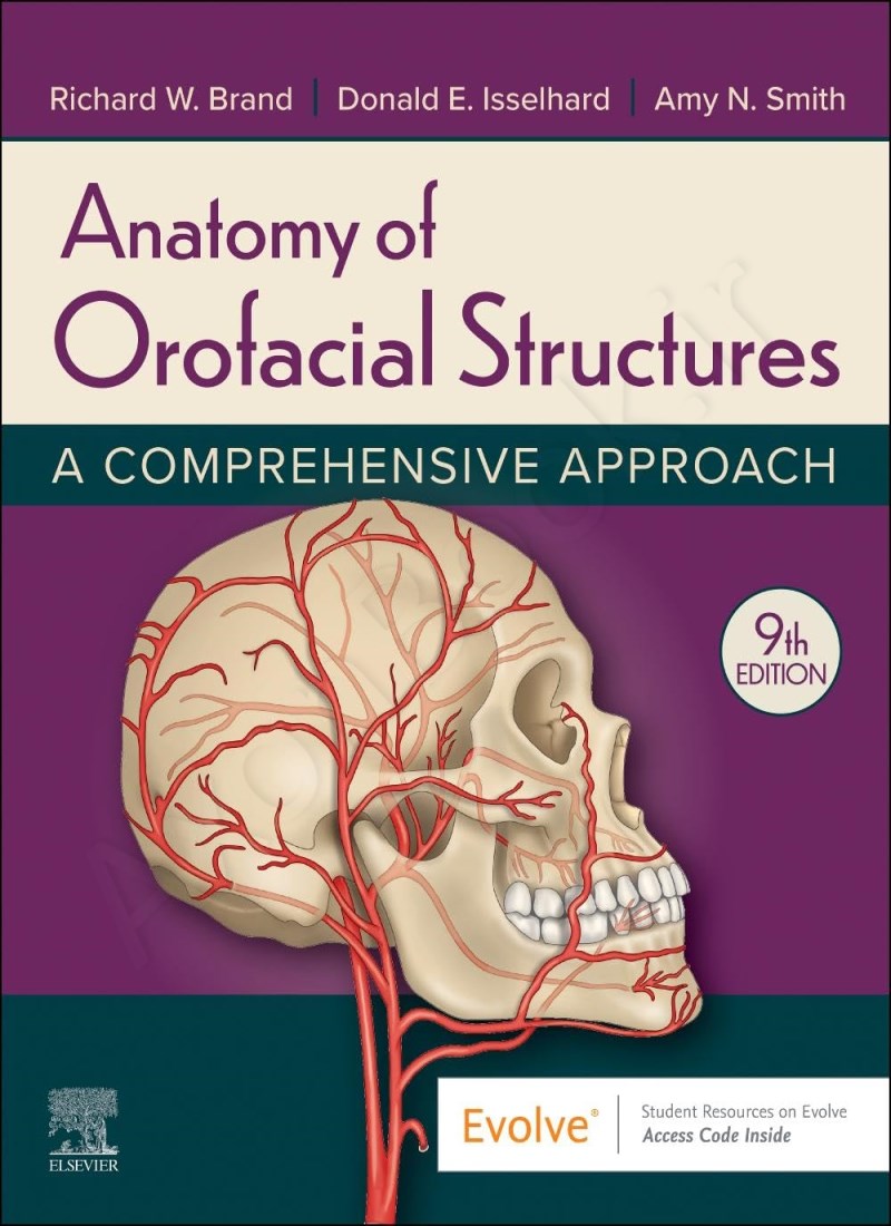 Anatomy of Orofacial Structures main 1 1