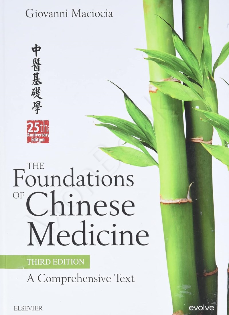 The Foundations of Chinese Medicine main 1 1
