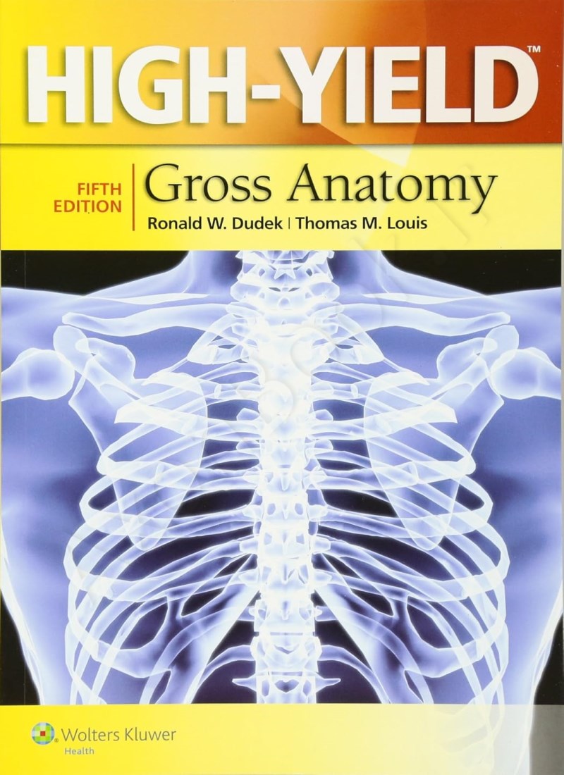 High-Yield Gross Anatomy Model.Title