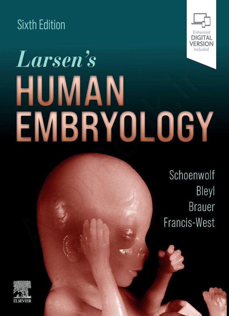 Larsen's Human Embryology main 1 1
