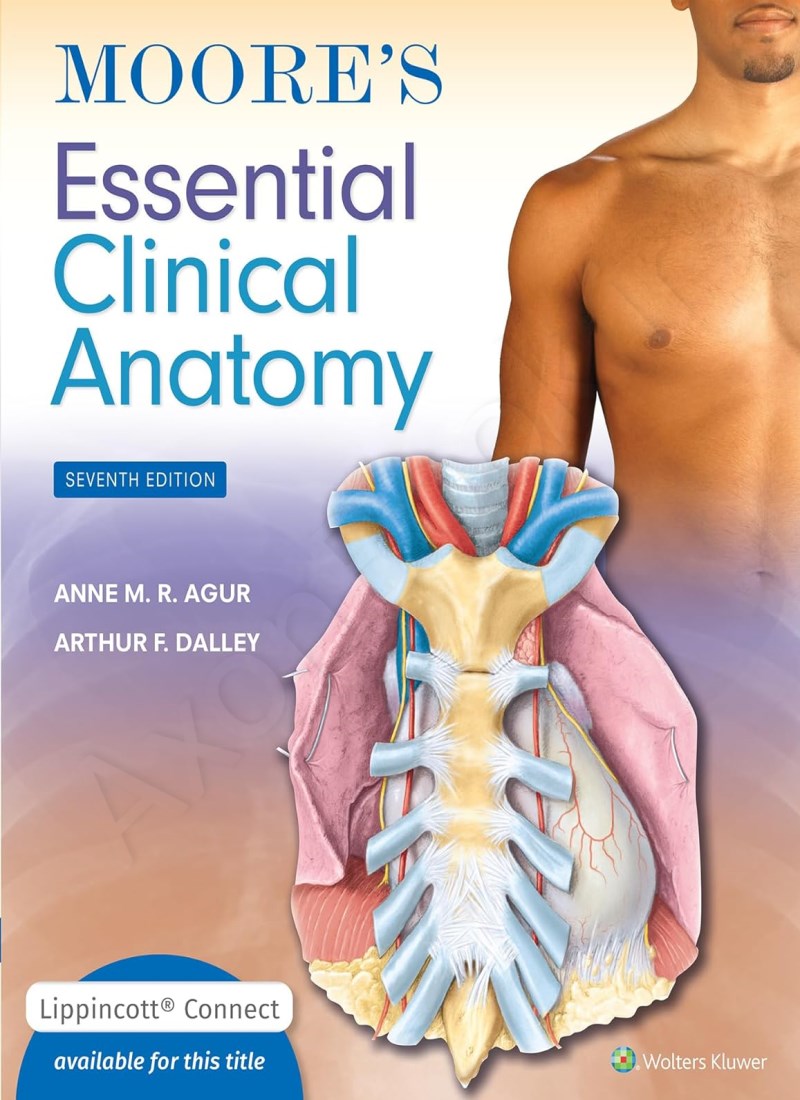 Moore's Essential Clinical Anatomy main 1 1