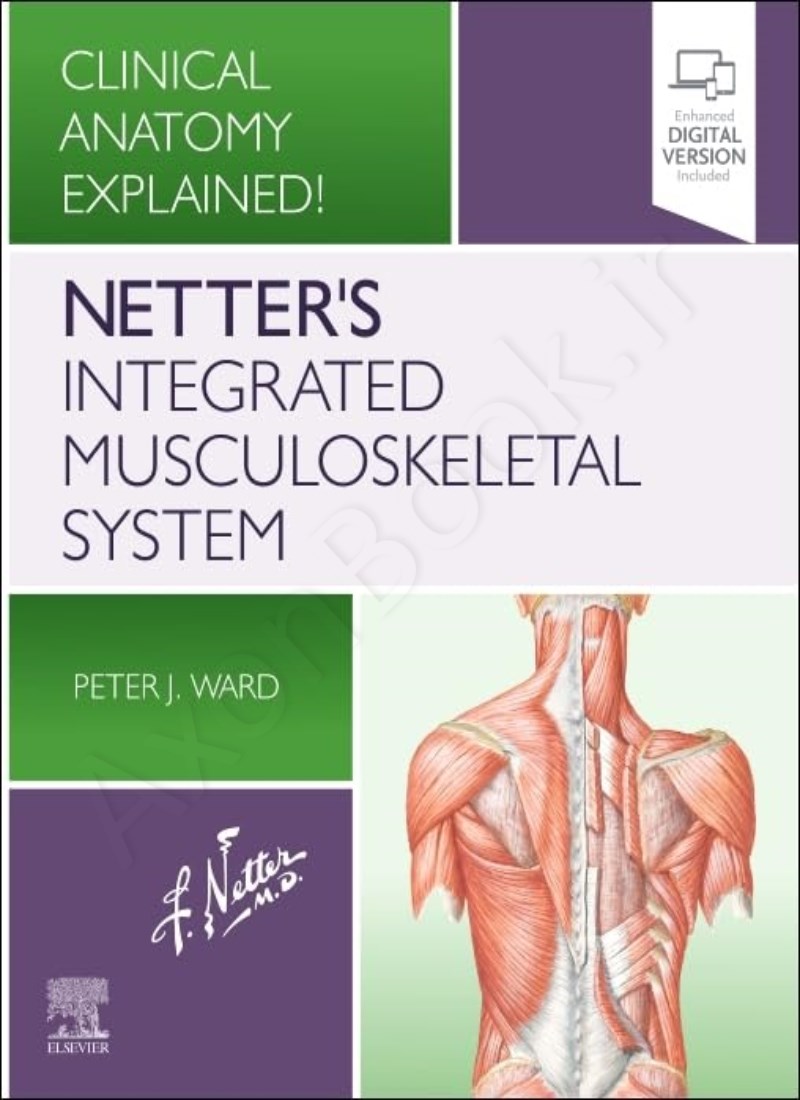 Netter's Integrated Musculoskeletal System: Clinical Anatomy Explained! main 1 1