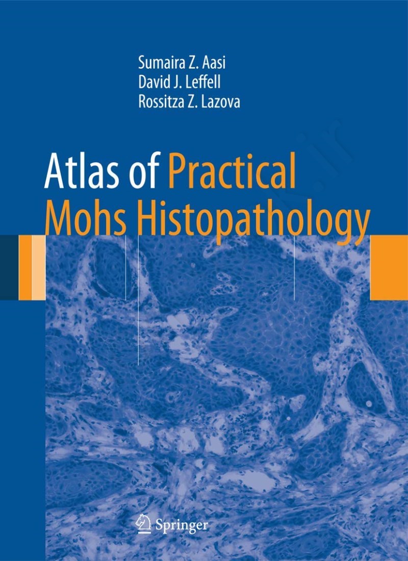 Atlas of Practical Mohs Histopathology main 1 1