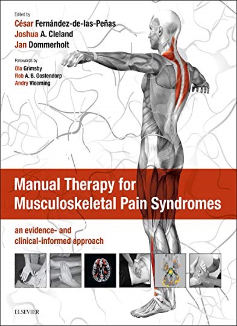 Manual Therapy for Musculoskeletal Pain Syndromes main 1 1