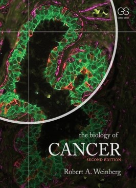 The Biology of Cancer The Biology of Cancer thumb 2 1
