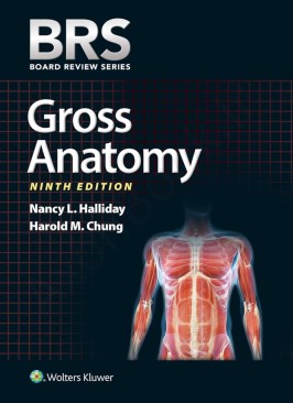 BRS Gross Anatomy (Board Review Series) BRS Gross Anatomy (Board Review Series) thumb 2 1