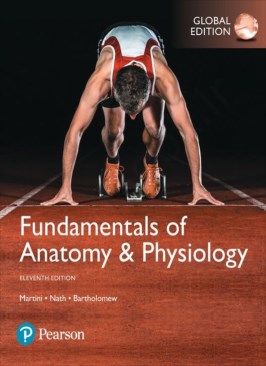 Fundamentals of Anatomy & Physiology