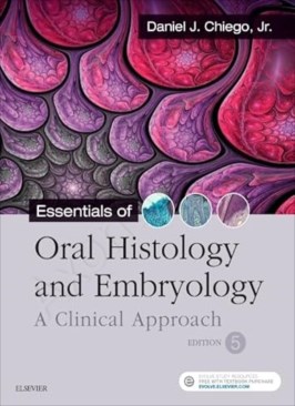 Essentials of Oral Histology and Embryology 5th Edition thumb 2 1