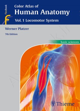 Color Atlas of Human Anatomy: Vol 1. Locomotor System thumb 2 1