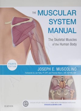 The Muscular System Manual thumb 2 1