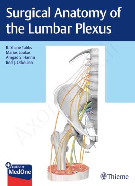 Surgical Anatomy of the Lumbar Plexus Surgical Anatomy of the Lumbar Plexus thumb 2 1