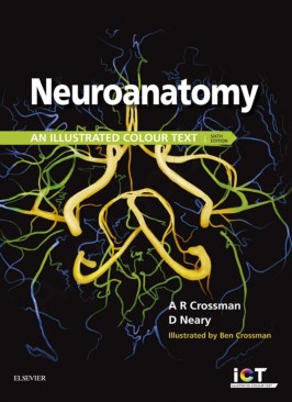 Neuroanatomy: an Illustrated Colour Text thumb 2 1