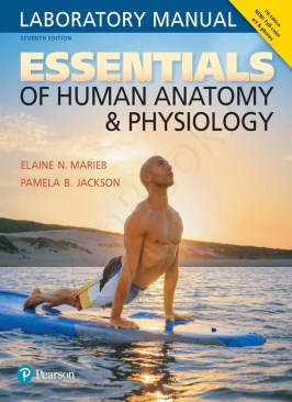 Essentials of Human Anatomy & Physiology Essentials of Human Anatomy & Physiology thumb 2 1