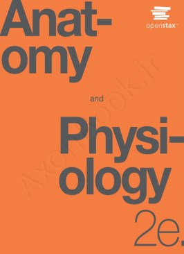 Anatomy and Physiology 2e by OpenStax