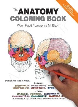 Anatomy Coloring Book