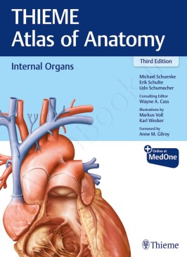 Internal Organs (THIEME Atlas of Anatomy) thumb 2 1